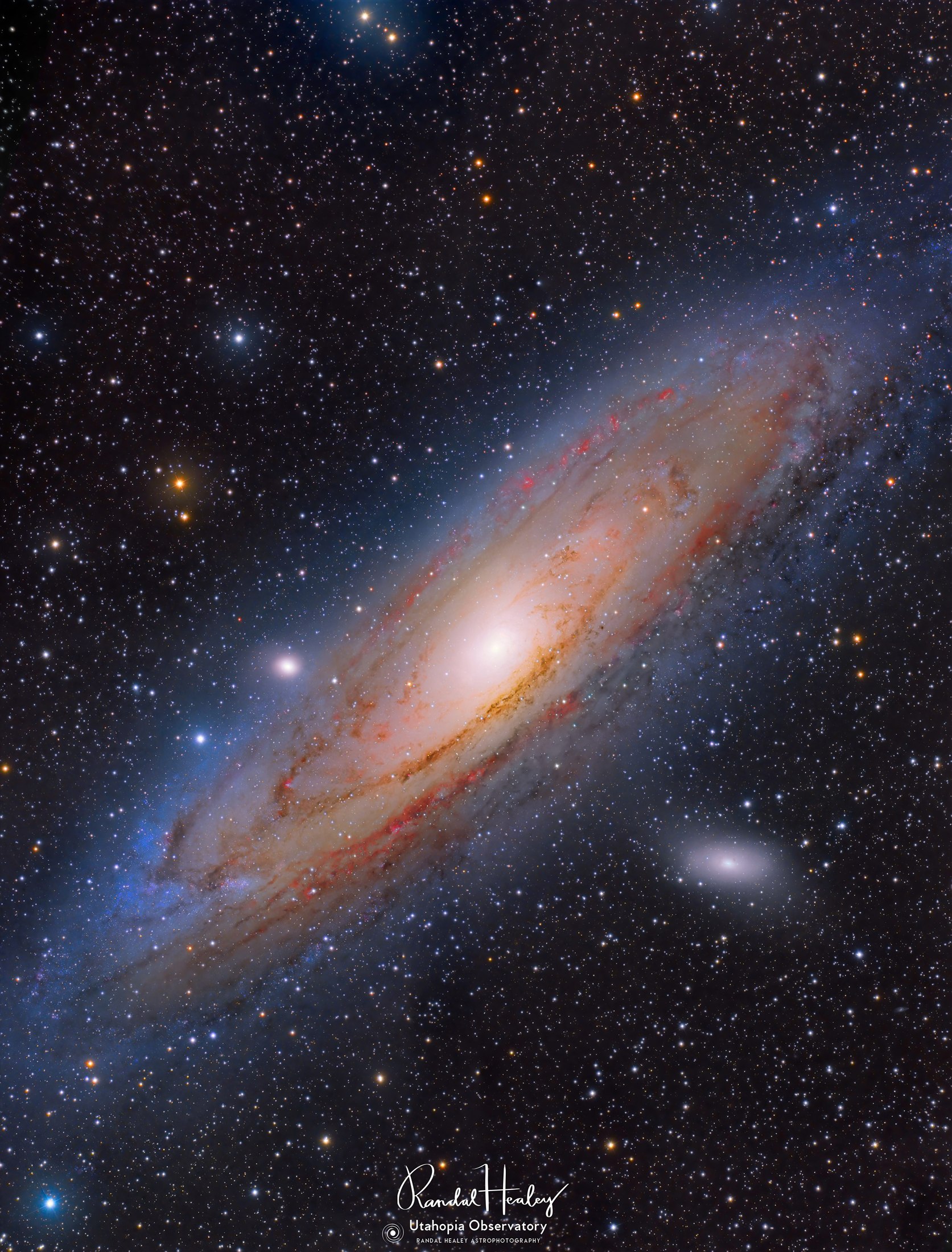 Andromeda galaxy by Randal Healey