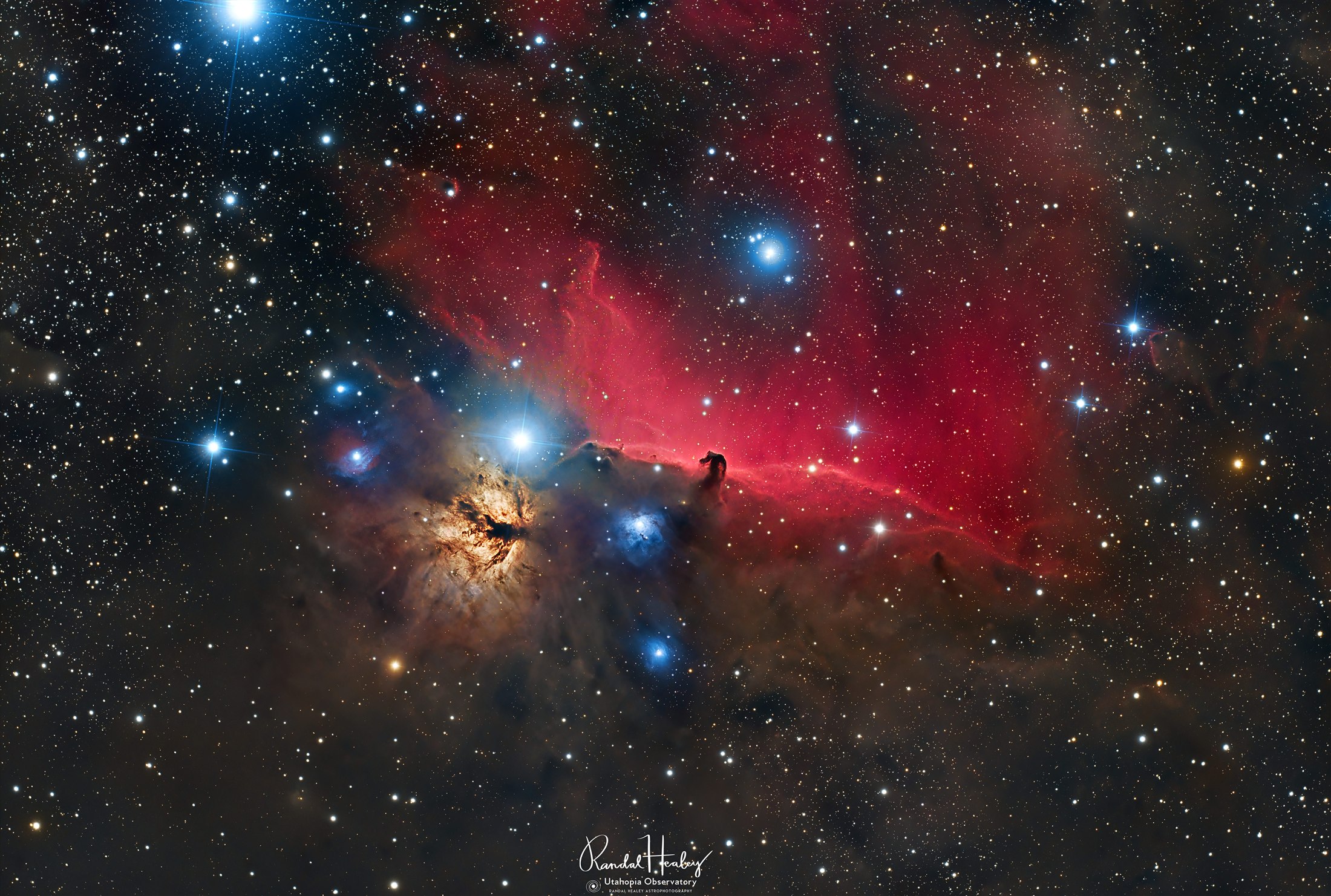 Horsehead and Flame nebulae photographed by Randal Healey